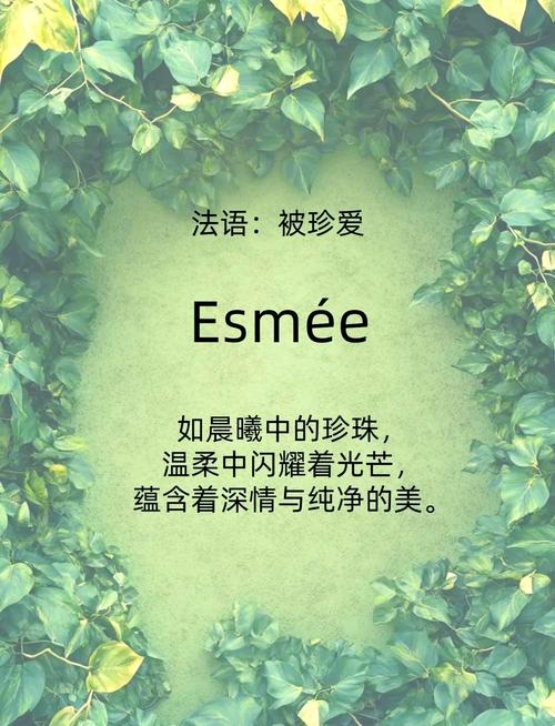 法国女人名字，浪漫与优雅的代名词插图