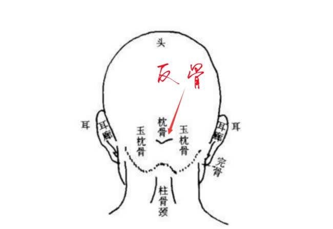反骨与叛逆，文化象征还是科学判断？插图