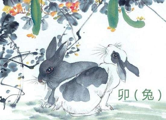 风和日丽之下的生肖畅想插图