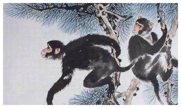 佛海无边映生肖—探寻生肖之猴的奥秘插图 佛海无边映生肖—探寻生肖之猴的奥秘插图