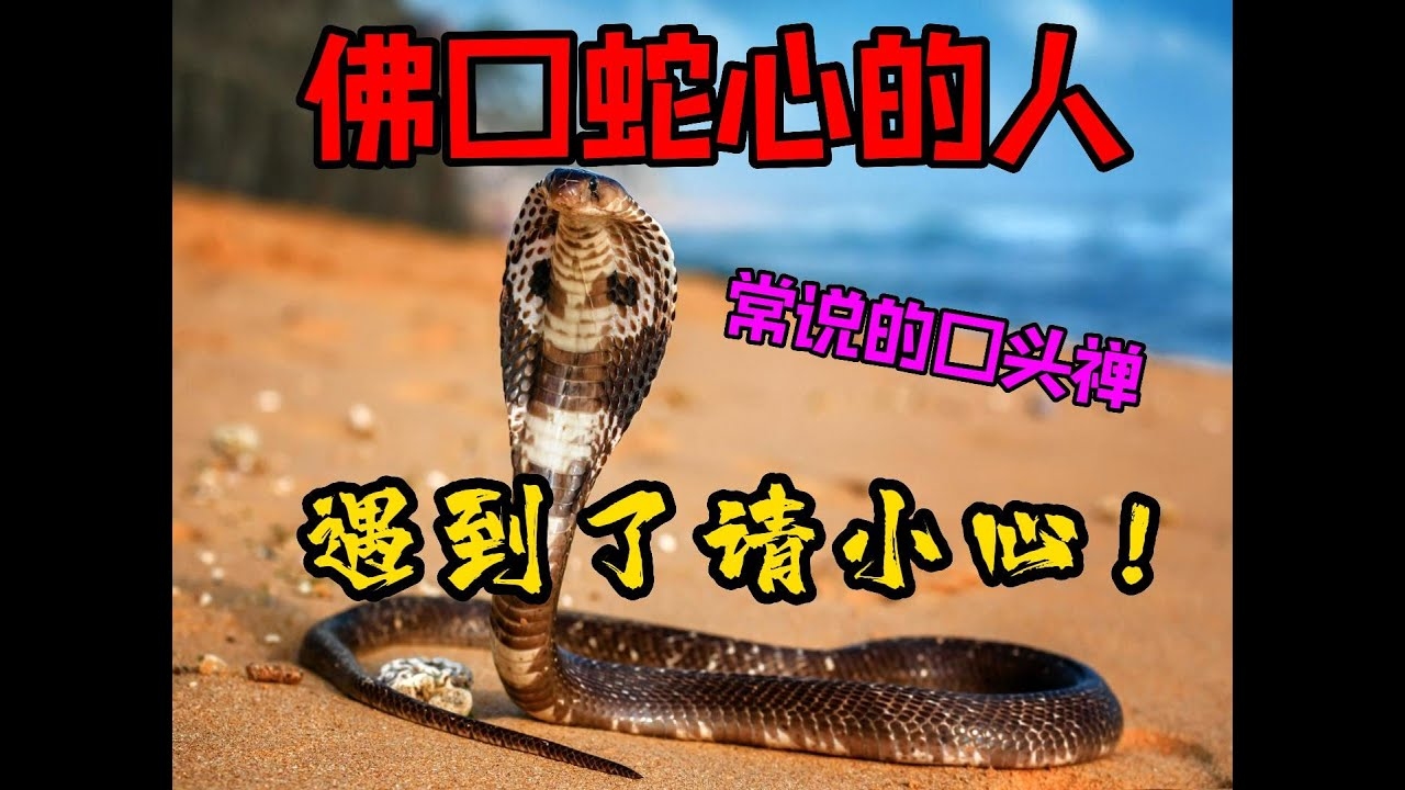 佛口蛇心生肖，蛇插图