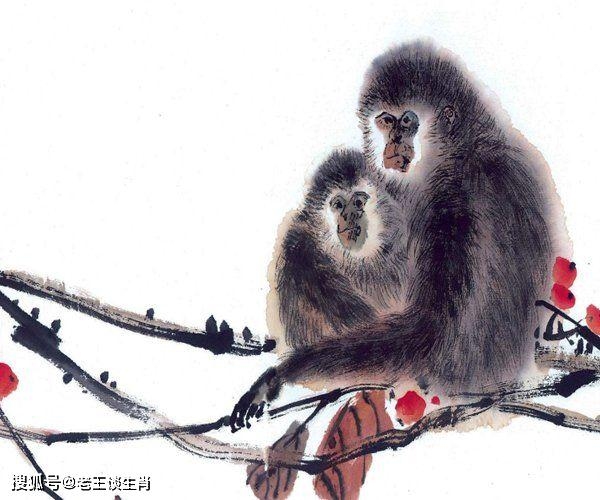 放荡不羁的生肖—猴插图