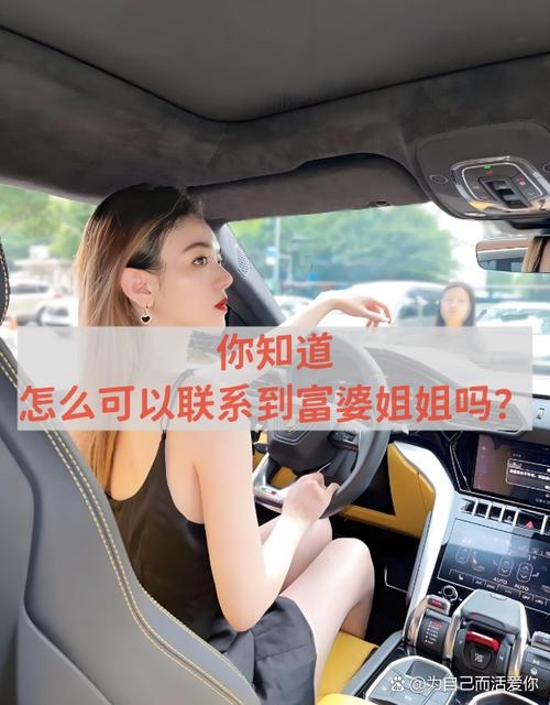 富婆交友网，探索高端社交的新领域插图