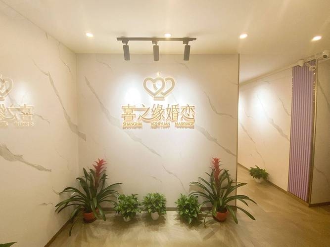 高端婚介所，点亮婚姻新坐标站插图