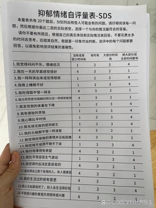 高端局ID下的抑郁现象探究插图