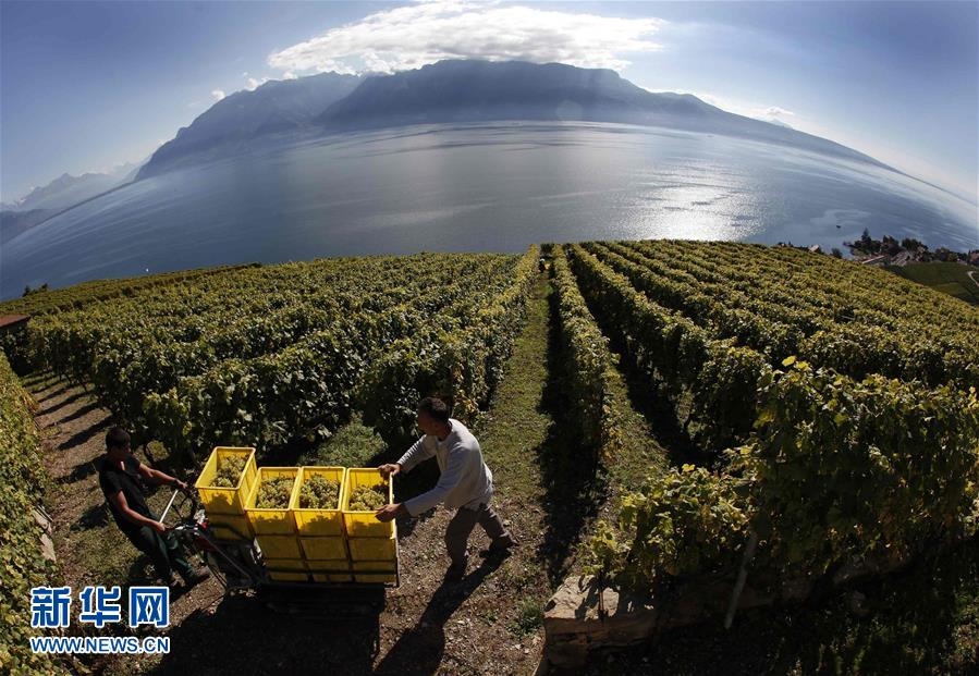 国际山岳日，12月11日的全球行动插图