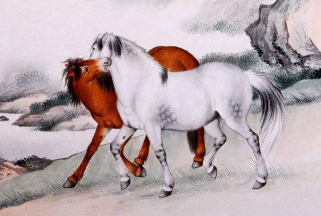 过目不忘其英姿的生肖—马插图