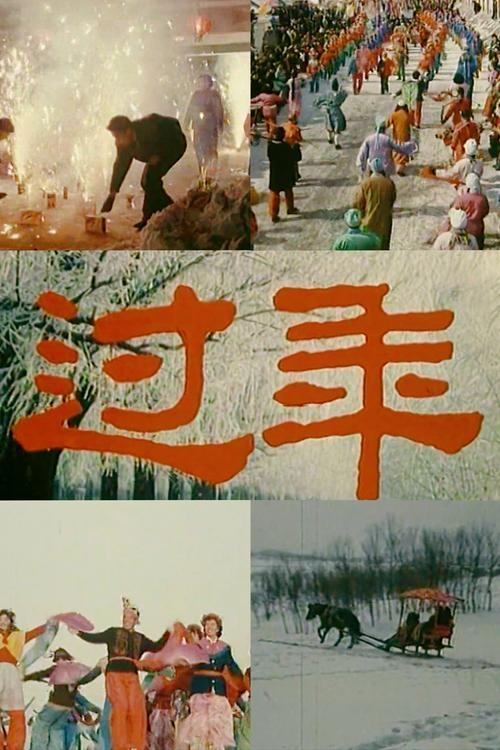 过年七天乐2014全集，欢乐时光的回忆与重温插图