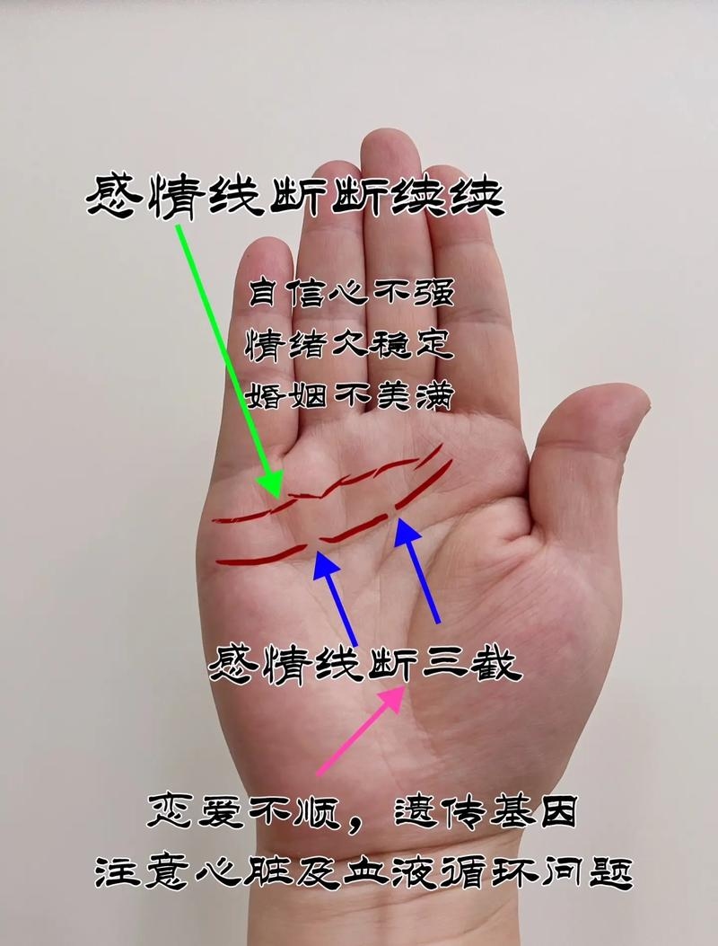 感情线断开，理解、面对与重建插图