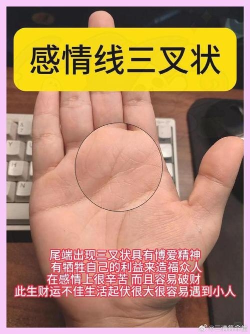 感情线分叉，跨越爱与孤独的密码插图