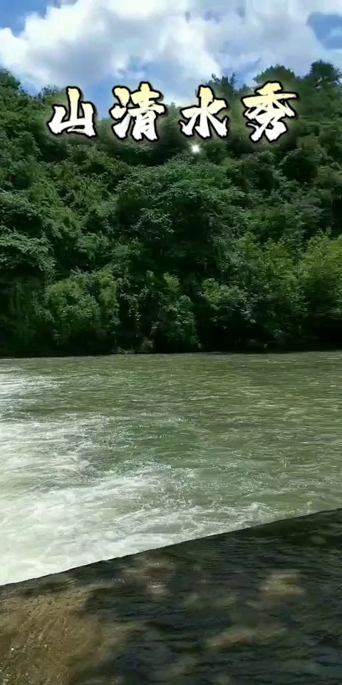 高山绿水与生肖之谜插图