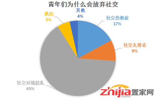 国外交友网，开启多元社交新体验插图