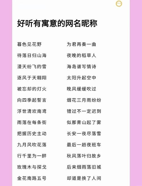 个性网名背后的超拽女生插图