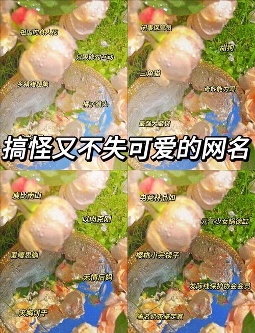 搞笑网名大全，点亮快乐源泉的创意之选插图