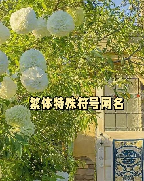 个性繁体网名，彰显独特魅力的网络标识插图