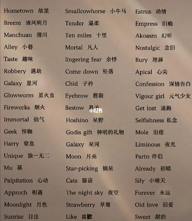 关于爱情的英文网名精选插图