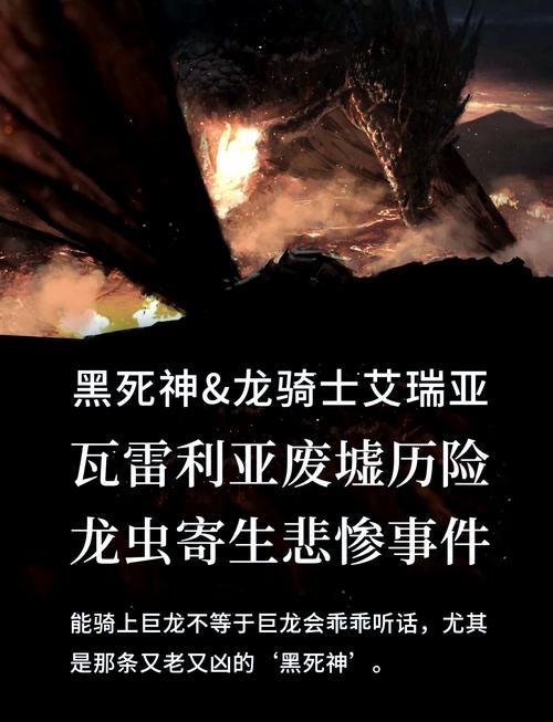 黑暗中的武士，探索神秘名字背后的传奇故事插图