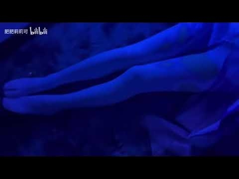 黑灯瞎火生肖揭秘插图