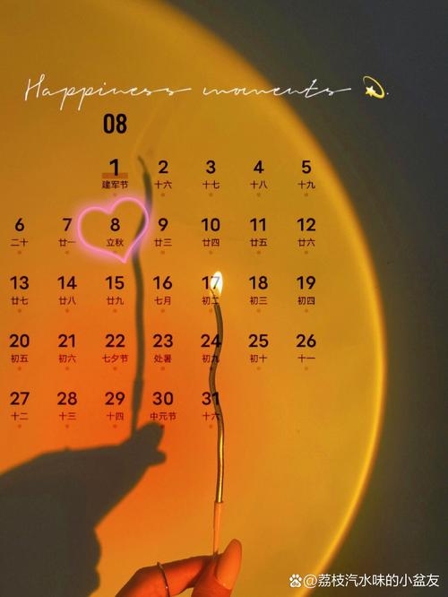 回顾2012年8月的日历，那些特殊的日子插图