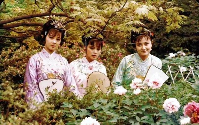 红花柳绿四季春与神秘生肖的交织插图