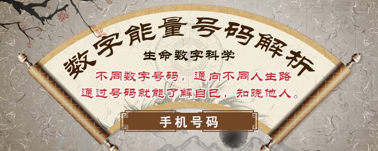 号码测吉凶，数字背后的文化与信仰插图