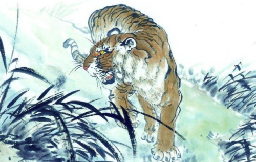 虎年二月属虎人运势佳插图