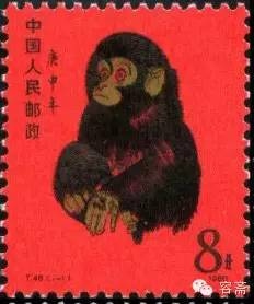 虎年后是什么生肖？揭秘生肖轮回的奥秘插图