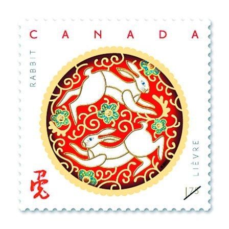 虎年之后是兔年插图