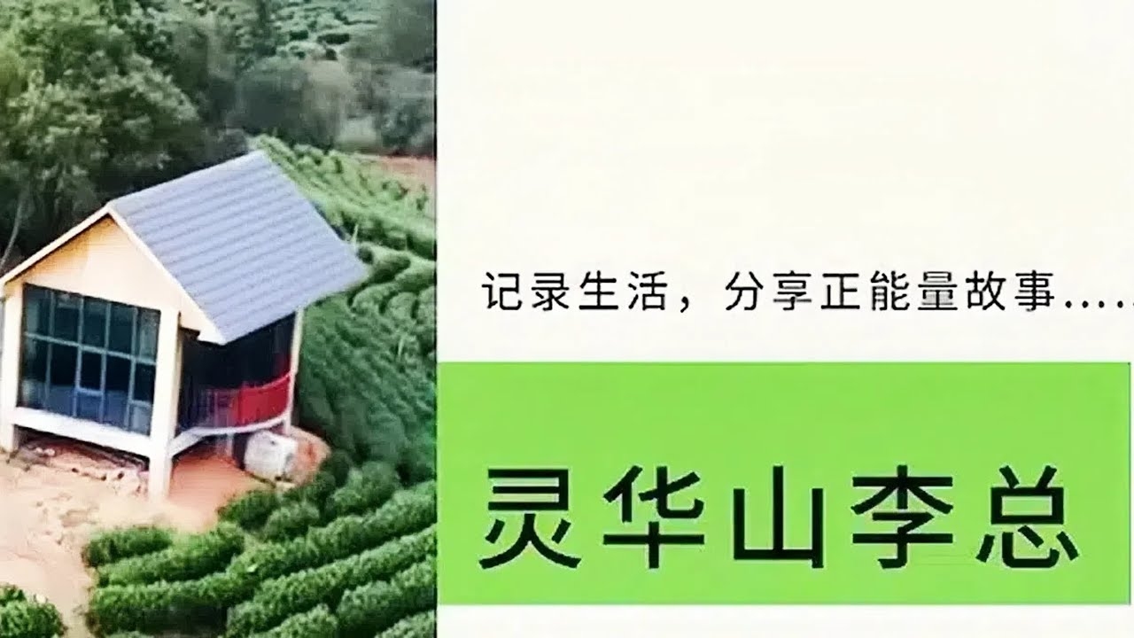 好日子聊天室，在数字时代里寻找温暖与共鸣的温馨角落插图