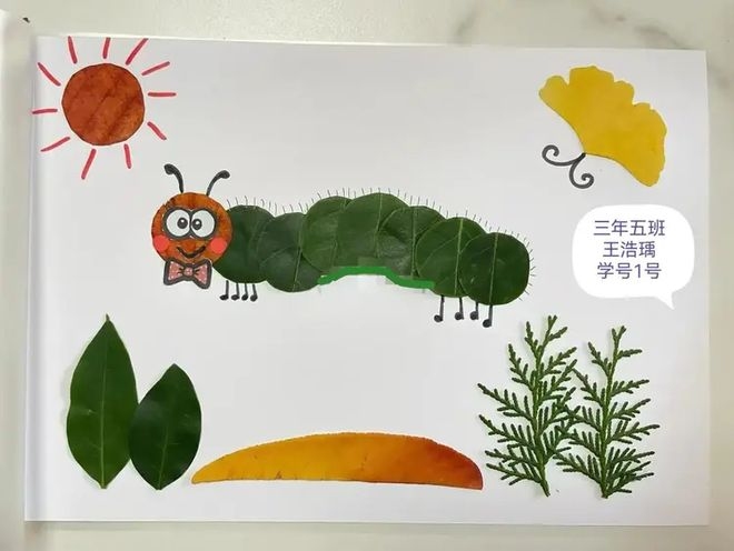 好听的班级名字,创意与意义的完美结合插图 好听的班级名字,创意与意义的完美结合插图