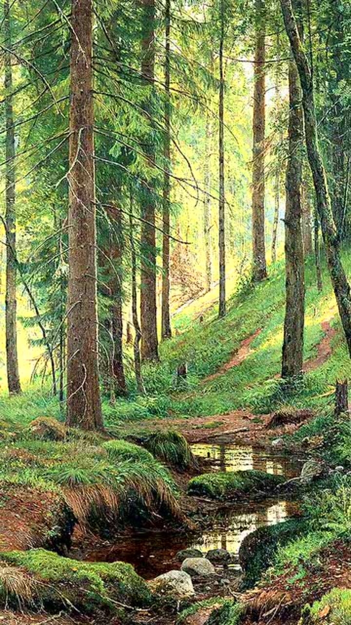 好听的名字，赋予生活以诗意的艺术插图