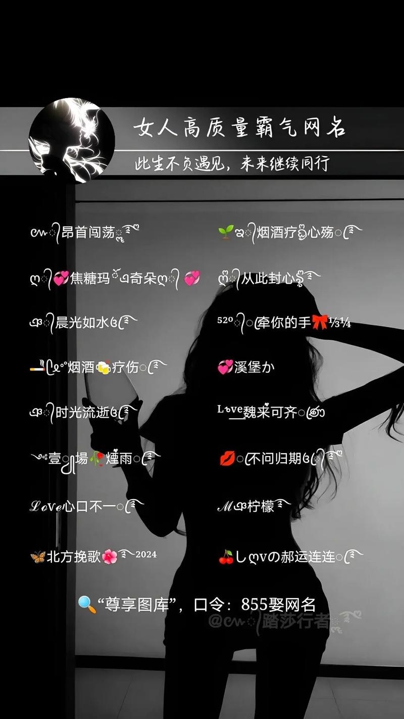 好听的网名，彰显霸气风范插图