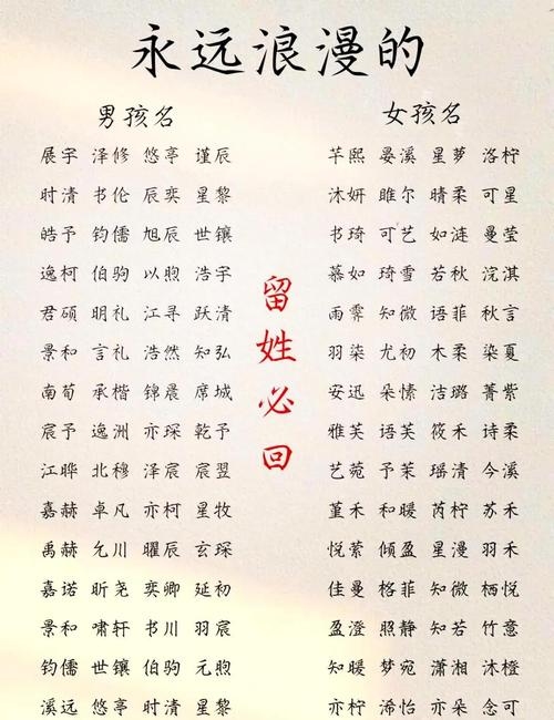 好听的小天才网名，探寻独特魅力的网络身份标识插图