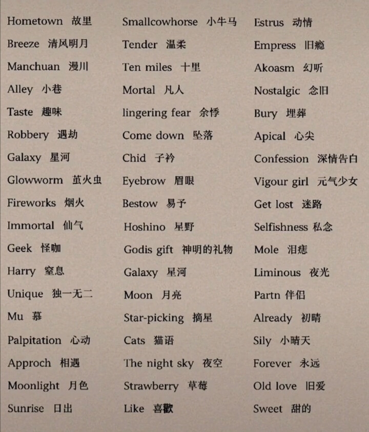 好听的英文网名女，如何选择与推荐插图