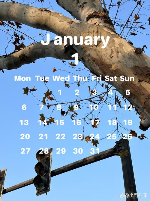 回望岁月，探寻时光印记—2014年1月日历插图