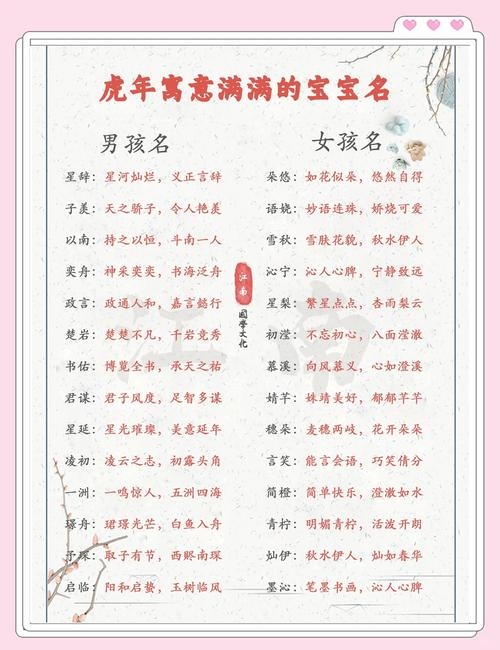 虎宝宝的命名艺术，最佳字选择指南插图