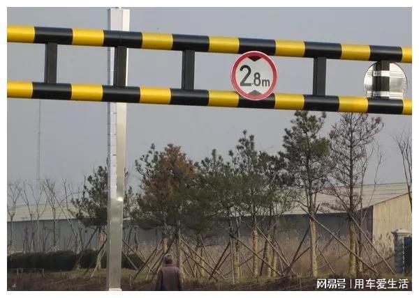 红旗杆杆与生肖的奇妙联系插图