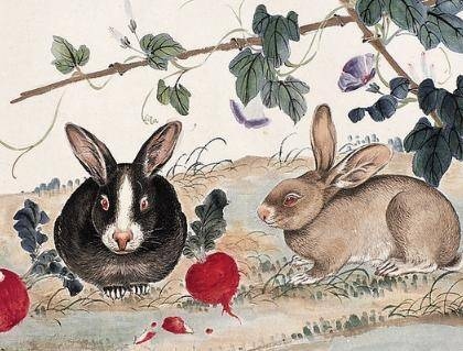 红袖添香，兔生肖的优雅陪伴插图