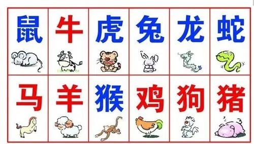 九出十三归生肖揭秘插图