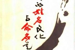 经典网络名字，时代的记忆与文化的印记插图