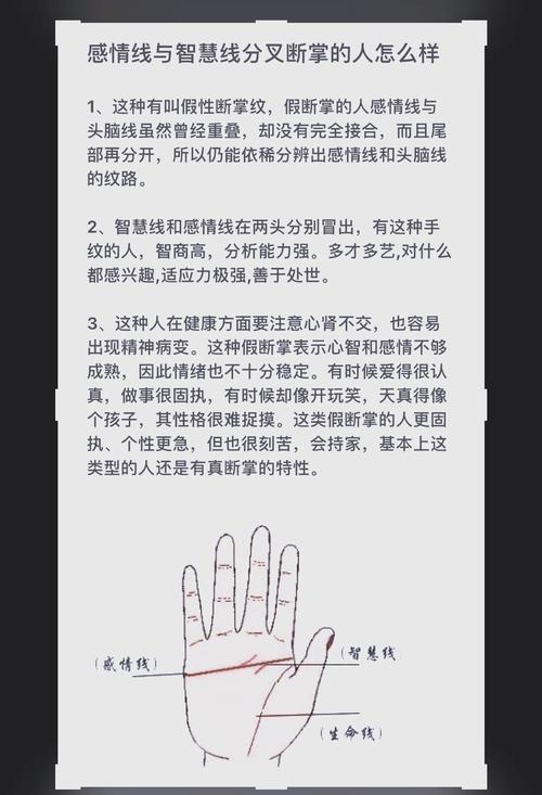假断掌手相图解,破解手部假断密码,解锁手部高级技能插图 假断掌手相图解,破解手部假断密码,解锁手部高级技能插图