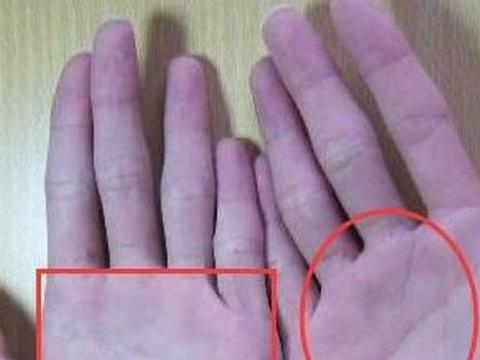 假断掌手相解析，性格坚韧，婚姻美满插图