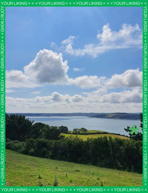 角落里的温暖——探索Conner的独特魅力插图