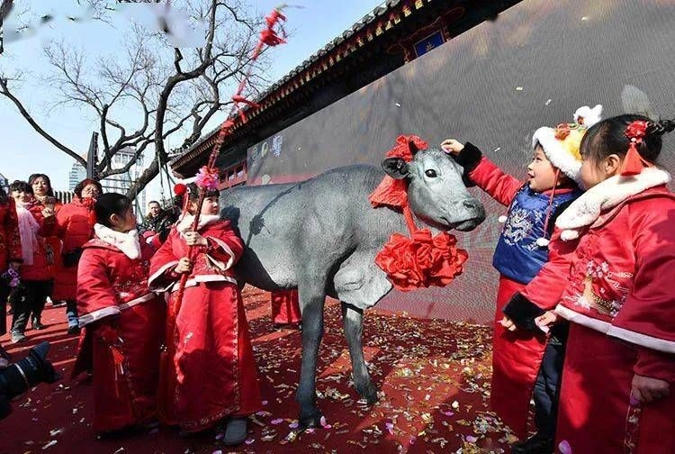 今年打春的准确时刻插图 今年打春的准确时刻插图