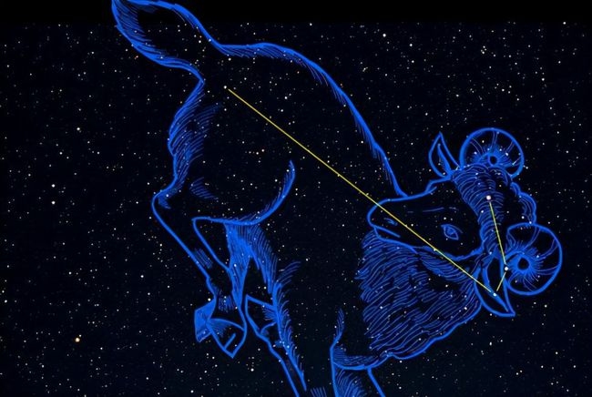 金牛的夏天，炽热与温柔的交织插图