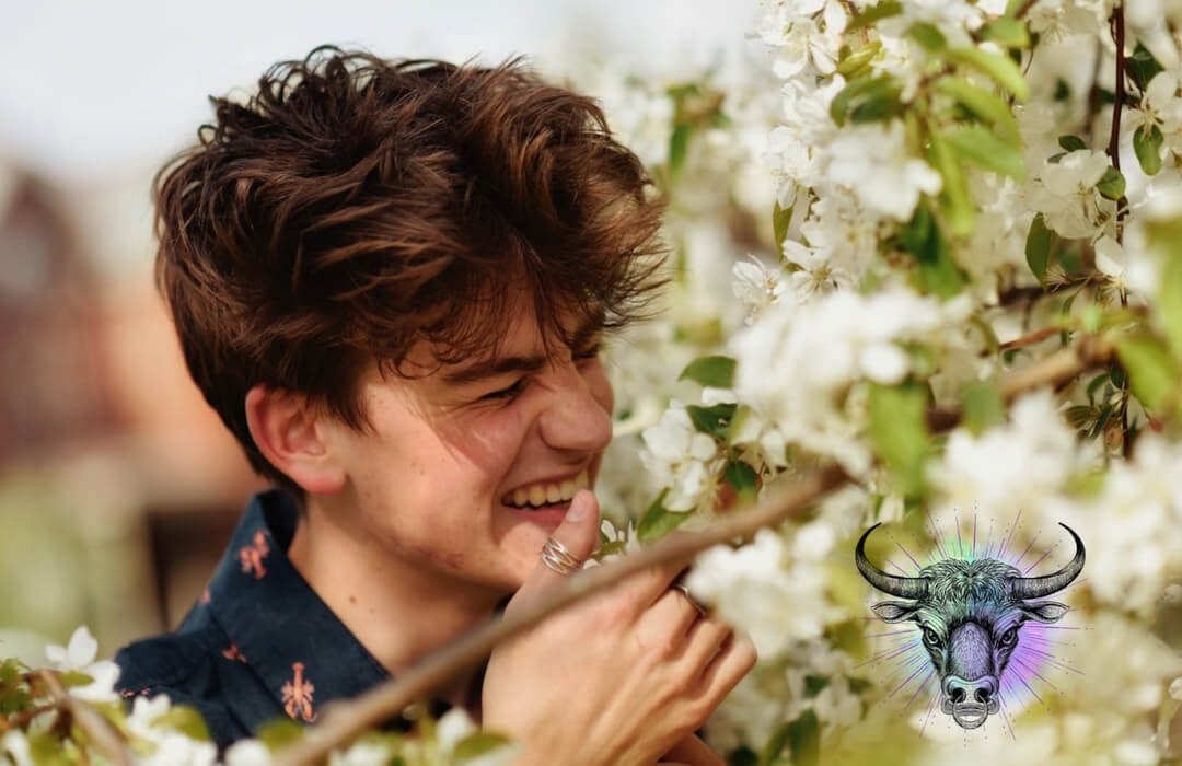 金牛女和水瓶男，性格与命运的奇妙相遇插图