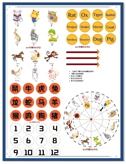 今年生肖揭秘，哪一种动物主宰着时间的轮转？插图