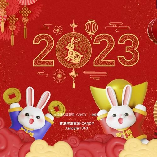 今年是兔年，开启兔兔新征程的年份展望插图
