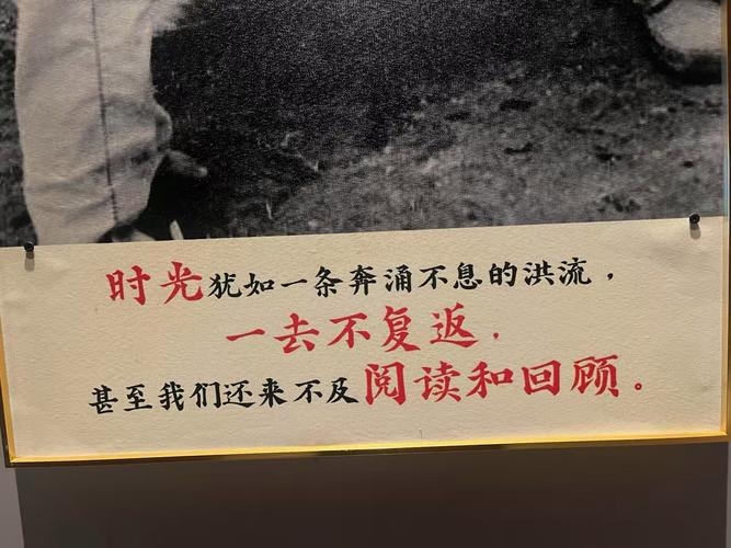 今日别样时光，平凡日子里的时光机插图