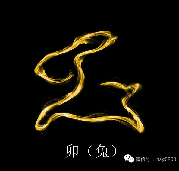 金石为开与生肖之谜插图 金石为开与生肖之谜插图